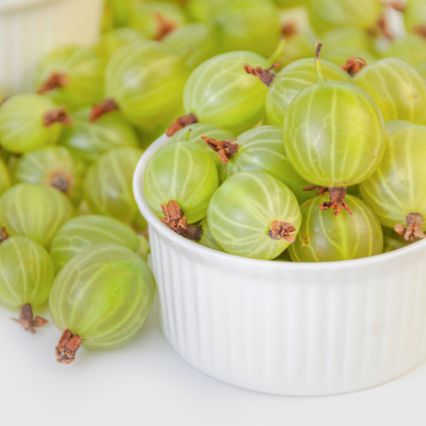 Hinnonmäki zeleni kos