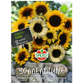 Mešanica sončničnih semen