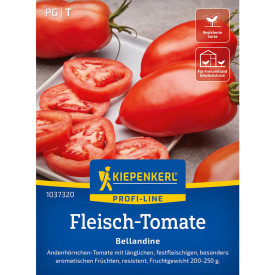 Bellandine F1 solatni paradižnik (semena)