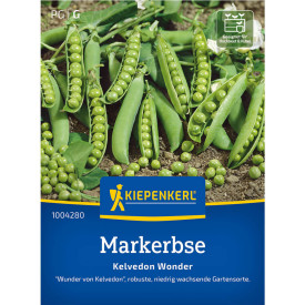 Kelvedonov čudežni grah (semena)