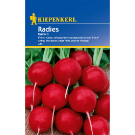 Mesečna redkev Saxa 3