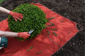 krpa za oblikovanje (za oblikovanje buxusov)