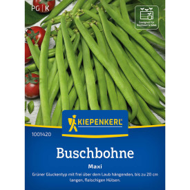 Bush fižol Maxi (semena)