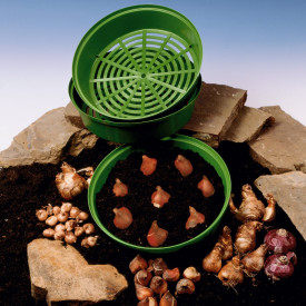 Okrogla posoda za cvetlične čebulice (3)