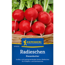 Rdeča redkev Riesenbutter (semena)