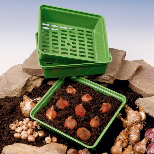Kvadratni sadilnik za čebulice (3)