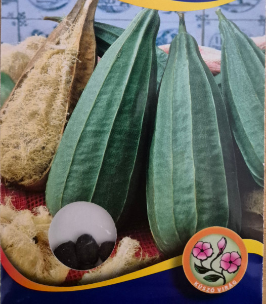 Lufa (buča, lufina goba)