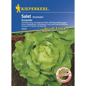 Solata Dynamite (semena)