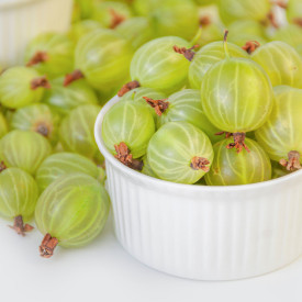 Hinnonmäki zeleni kos