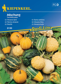 Dekorativna mešanica buč