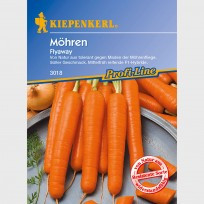 Beet Flyaway (semena)