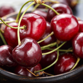 Sadika hrustljave češnje Kordia (s koreninsko grudo)