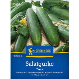 Solata kumare Tanja