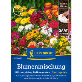 Cvetoča balkonska škatla za semena