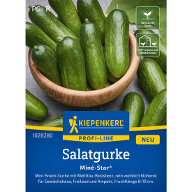 Miné-Star® F1 solatni kumare