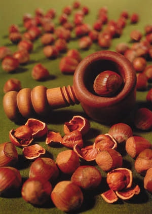 Lešnik za posode 'Cosford'