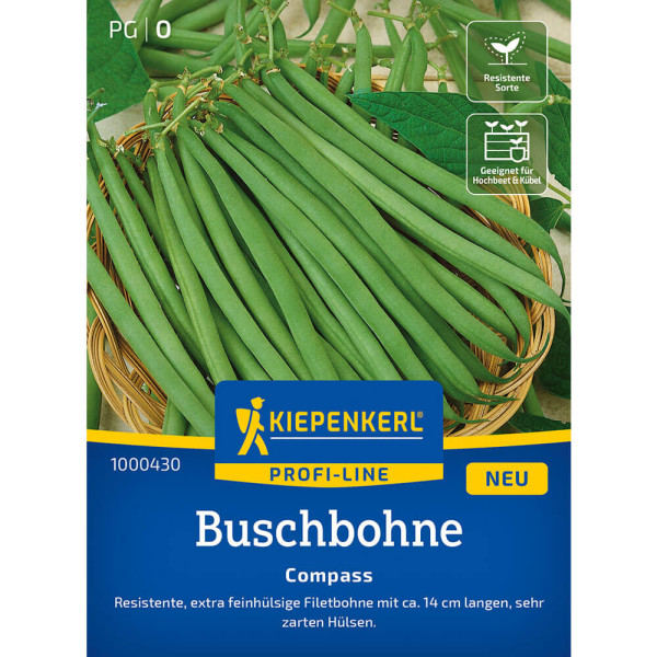 Kompasna fižolova rastlina