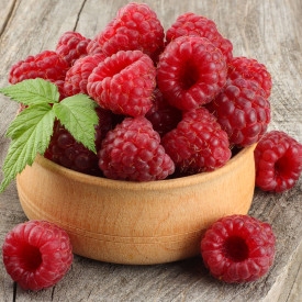 Brez trnov malina, Glen Ample