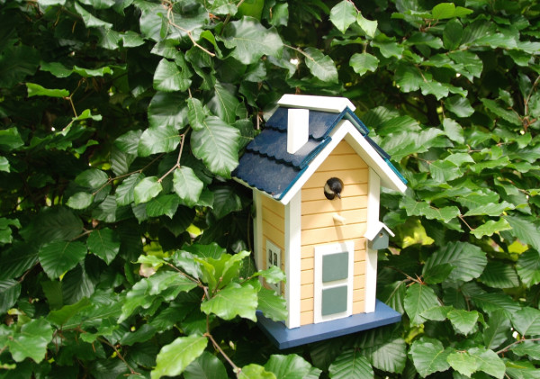 Pobarvana ptičja hišica rumeno