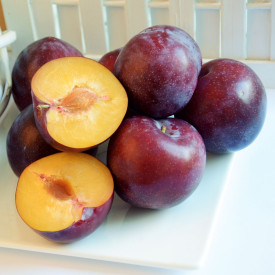 Ogromen kotalni kontejner