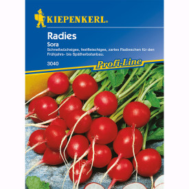 Mesečna redkev Sora