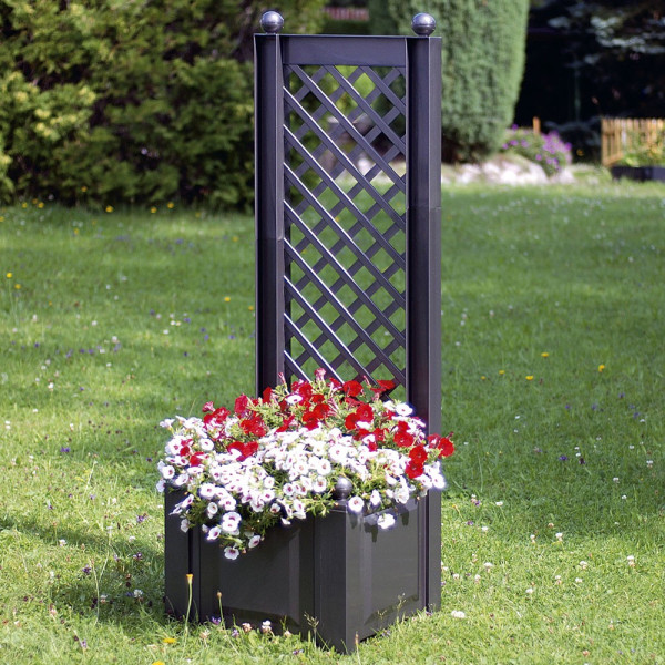 Zaboj za rastline s plazečo se mrežo 43 cm antracit