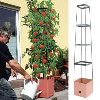 Stolp za rastline MaxiTom terakota