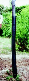 Mreža za zaščito drevesnih sadik 80 cm