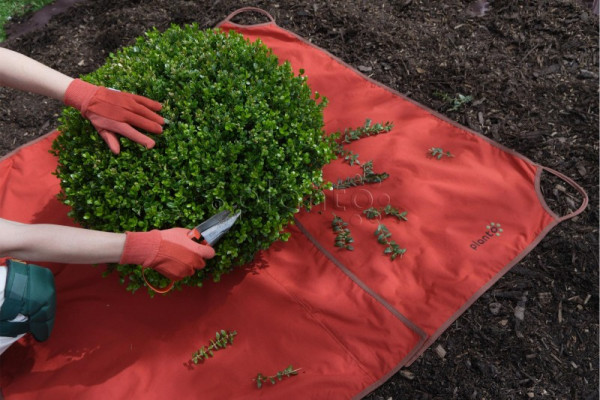 krpa za oblikovanje (za oblikovanje buxusov)