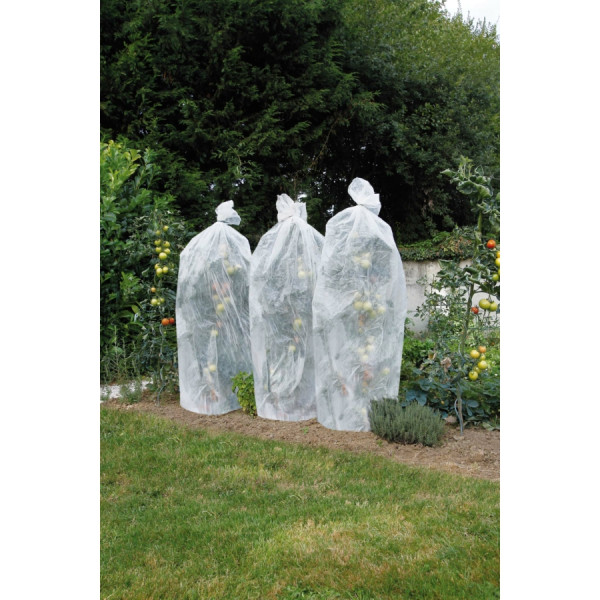 Paradižnikova folija proti mrazu