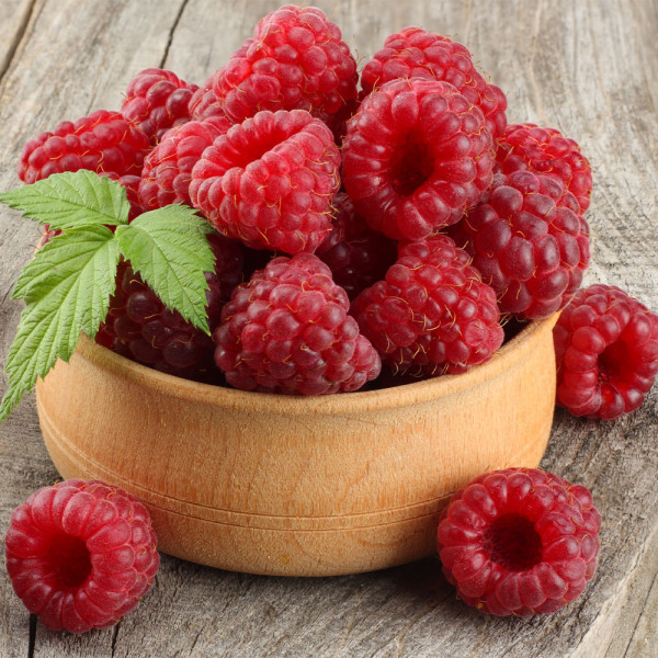 Brez trnov malina, Glen Ample