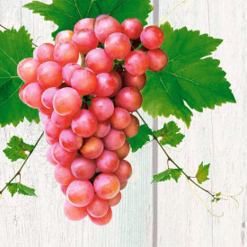 Rosella - rožnato grozdje brez semen