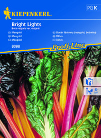 Mangold Bright Lights (semena)