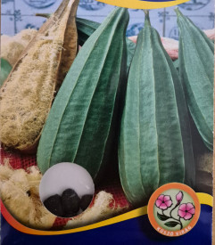 Lufa (buča, lufina goba) 