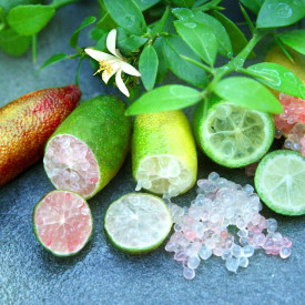Kaviar Limette