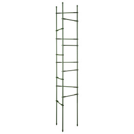 Komplet sadik za paradižnik 150 cm