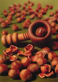 Lešnik za posode 'Cosford'