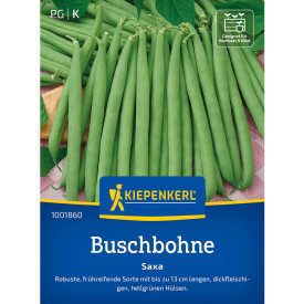 Bush fižol Saxa (semena)