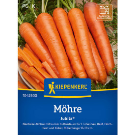 Poletna rdeča pesa Jubila (semena)