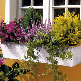 Sestava balkona Allgäu