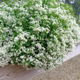 Snežna kraljica Diamond Cloud (3)