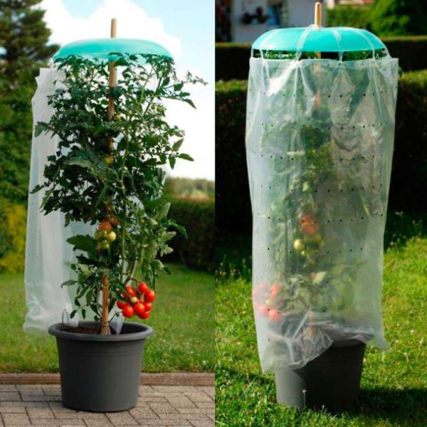 Zaščitni komplet za paradižnik
