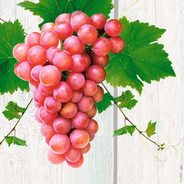 Rosella - rožnato grozdje brez semen