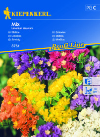 Limonium, mešanica barv