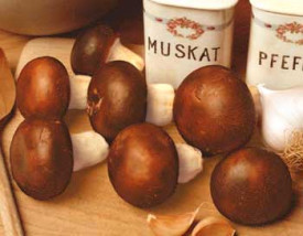 Rjava šampinjonka