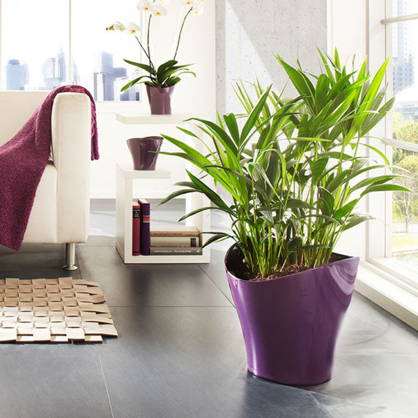 Lonec Wave vijolične barve (25 cm)