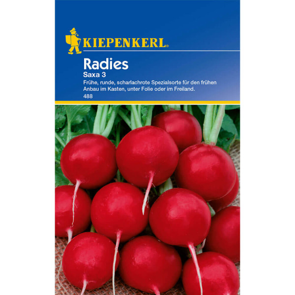 Mesečna redkev Saxa 3