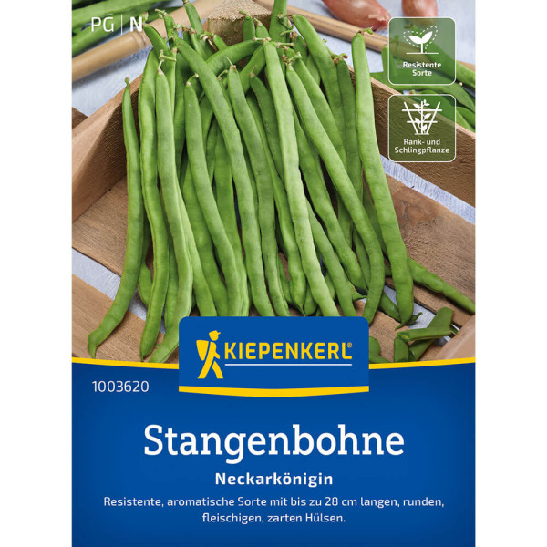 Zeleni stročji fižol Neckarkönigin (semena)