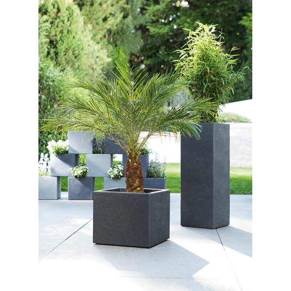 Ploščica C-Cube kamnito-siva Visoka 70 cm