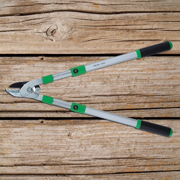 Škarje za obrezovanje